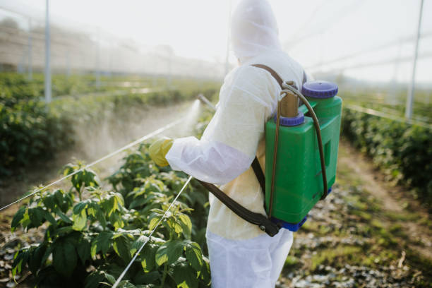 Best Pest Inspection Near Me  in Ramona, CA